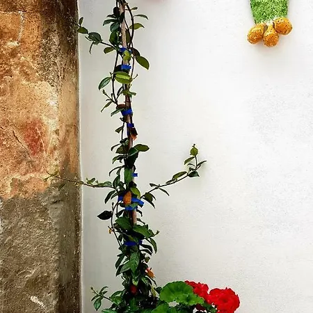 La Dimora Perfetta Montalbano (Apulia)
